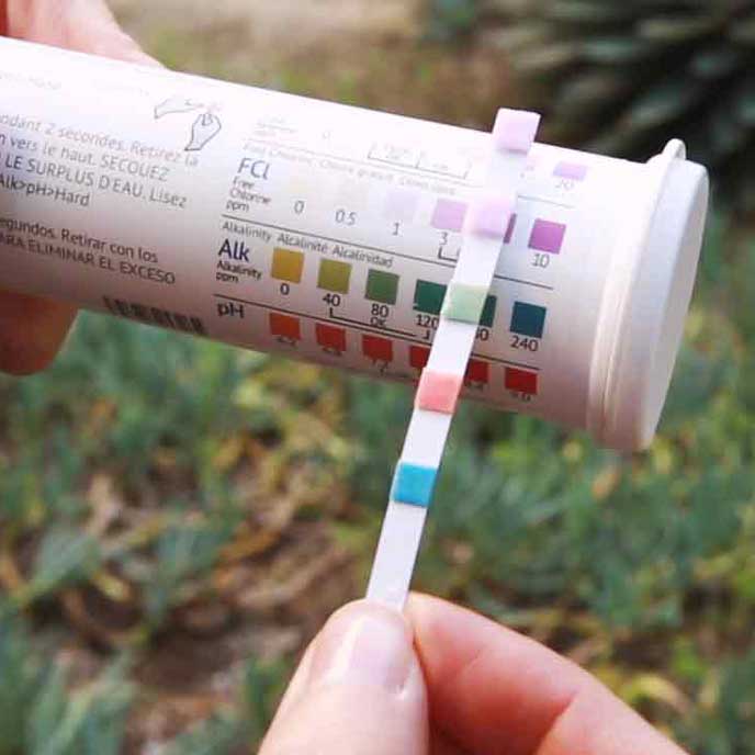 Mit Teststreifen pH-Wert messen